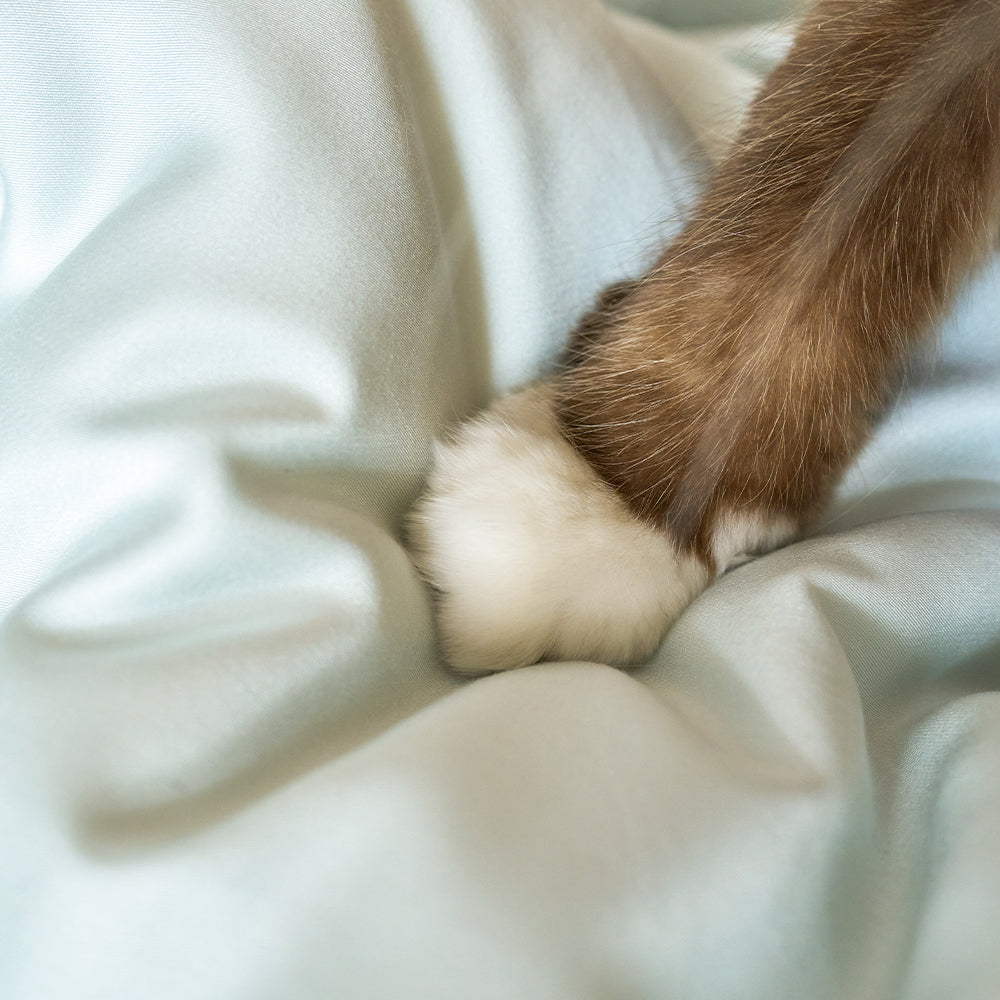 Pet Hair Resistant Bamboo Bedding